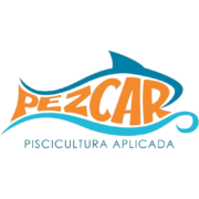 caezam.online